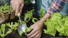 Ekim Ayının Gelişine Dair Sevineceğimiz Bazı Bilgiler